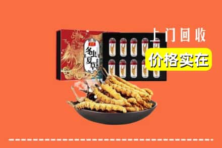 黔东南岑巩县回收冬虫夏草
